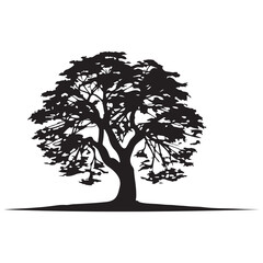 Collection tree silhouette transparent png. 