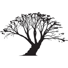 Collection tree silhouette transparent png. 