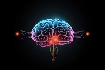 Embark on brain exploration: Witness action potential propagation, mind neural coding. Neuronal thinking connectivity, network by intricate migration, shaping the human brain's intricate architecture