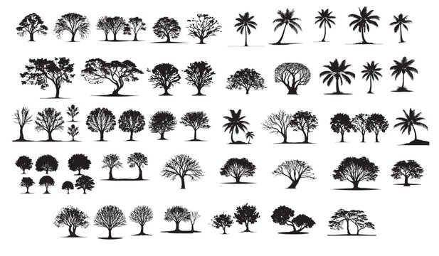 More Ultimate Tree collection, different tree vectors. icon set.