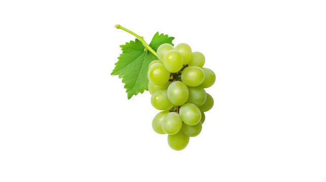 Fresh green grape isolated on transparent and white background.PNG image.
