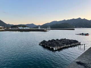 いろんな海の顔