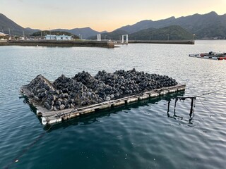 いろんな海の顔