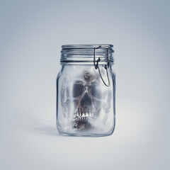 Creepy human skull in a glass jar