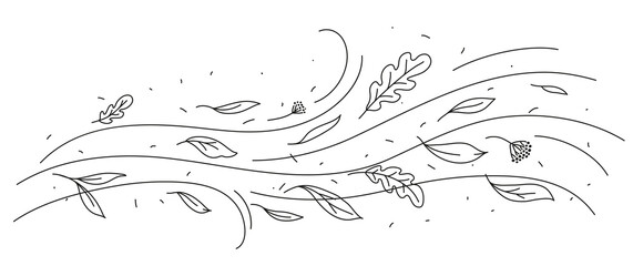 Wind and flying doodle autumn leaves, cartoon vector nature hurricane. Weather storm with wind blow waves and autumn leaves in line art, abstract air flow with oak leaves foliage on windy background