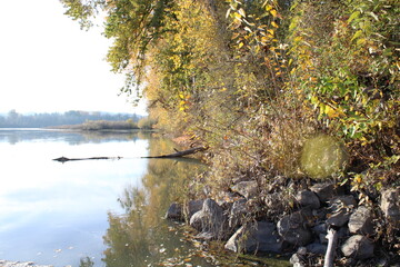 Rapids River Bank