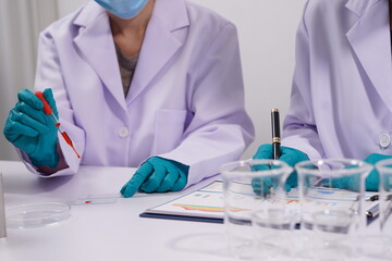 Fototapeta premium Hands of a doctor or female doctor collecting blood sample tubes from rack with analyzer in lab. Doctor holding blood test tube in research laboratory red blood cells
