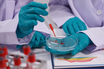 Hands of a doctor or female doctor collecting blood sample tubes from rack with analyzer in lab. Doctor holding blood test tube in research laboratory red blood cells