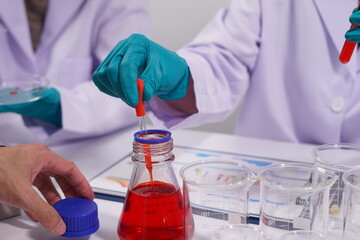 Fototapeta premium Hands of a doctor or female doctor collecting blood sample tubes from rack with analyzer in lab. Doctor holding blood test tube in research laboratory red blood cells