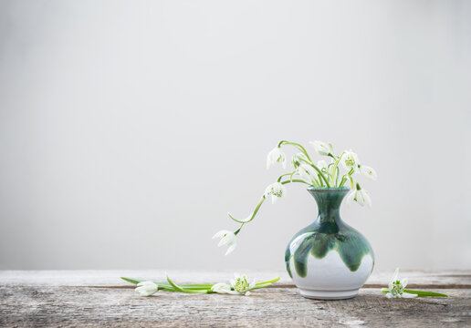 white snowdrops in green vase on white background 