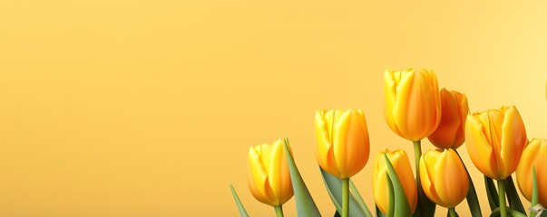 yellow tulip flowers on yellow background. generative AI