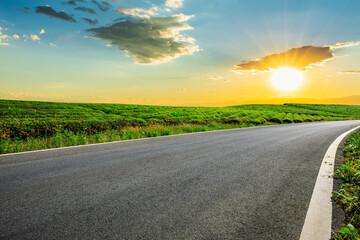 Country road and green tea plantation with sky clouds at sunset