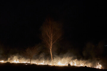 fire at night in the field,ecological disaster, fire at night, burning trees and fields
