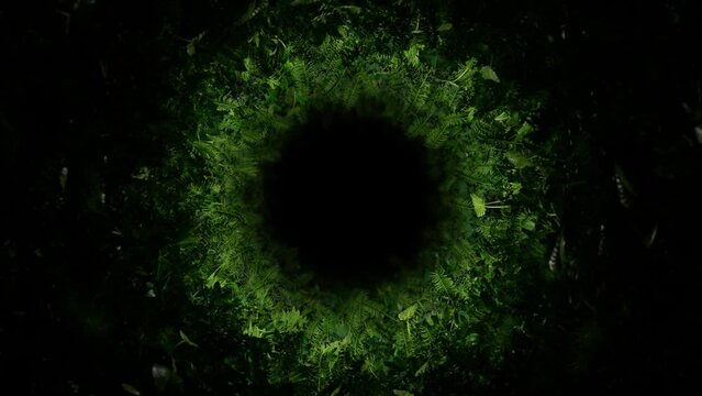 Looped footage of a circular tunnel with lush plants on the walls, illuminated by a traveling light that reveals the greenery as the camera moves forward.