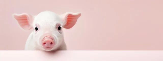 Fotobehang Happy cute mini pig isolated on pink background. Happy funny piglet. Exotic domestic pet. Vegan and vegetarian concept. Animal health, love of nature  © ratatosk