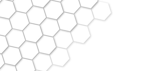 Abstract white background with hexagons and seamless pattern in vector design . luxury white pattern geometric mesh cell texture .