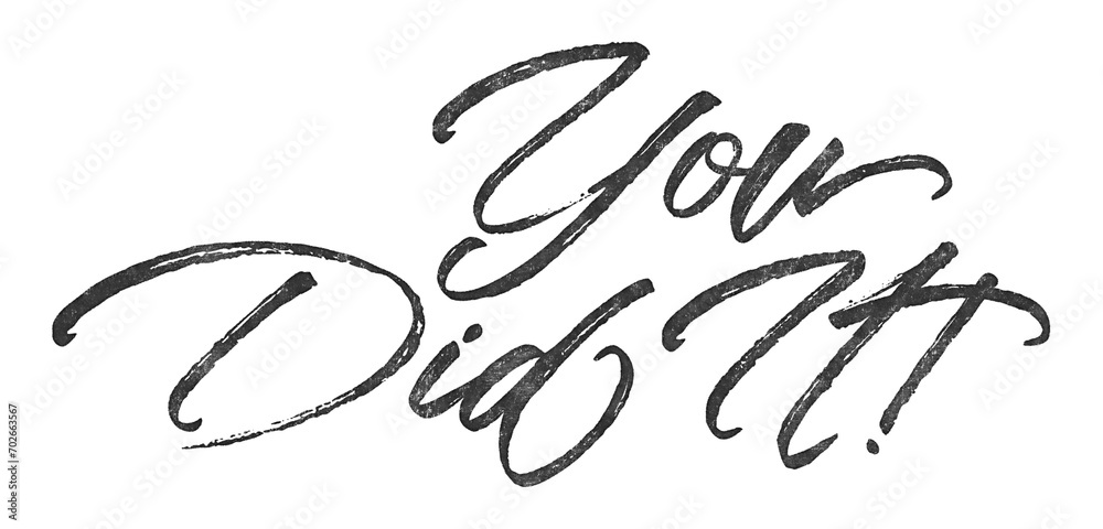 Poster you did it! written in brush script font with marker ink effect isolated on transparent background
