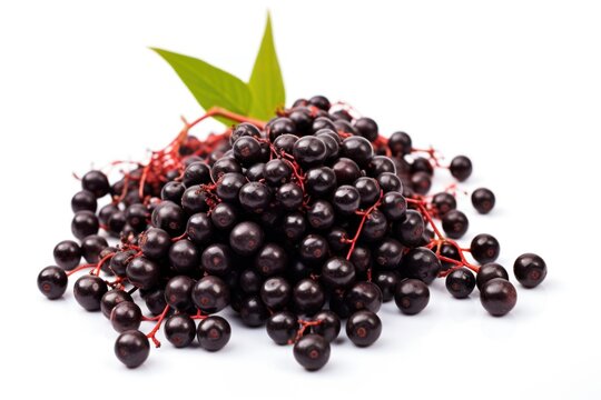 AI-generated illustration of a heap of elderberries on a white background