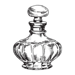 bottles with perfume, vector drawing in sketch style. vintage