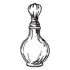 bottles with perfume, vector drawing in sketch style. vintage