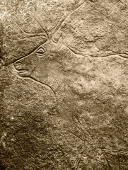 Contours of the figure of reindeer with typical horns from the European cave painting of the Paleolithic era.