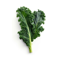 Kale isolated on white background