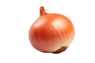 An Onion Isolated On Transparent Background