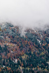 Mountain slope with misty forest and snow on cold autumn day