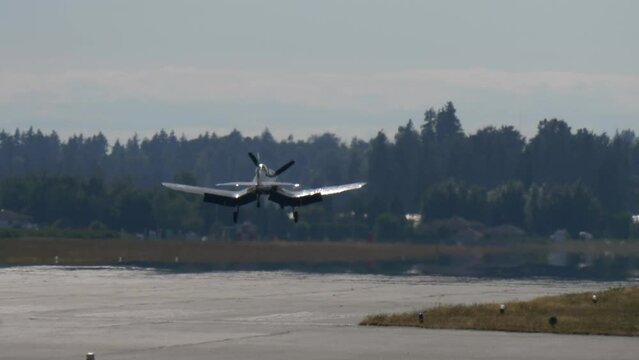 Rear Shot of Historic Warplane F4U Corsair Landing on the Runway