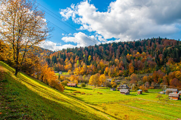 A slope with trees and a green plain at the foot of the mountain. Autumn sunny landscape