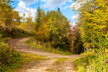 Branching of the mountain road. Autumn landscape with a mountain road