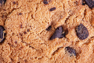 Cookies with pieces of chocolate macro photo. Delicious cookies as a background.