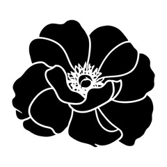 Hand drawn simple flower illustration