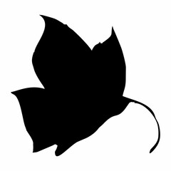 silhouette of a black flying butterfly