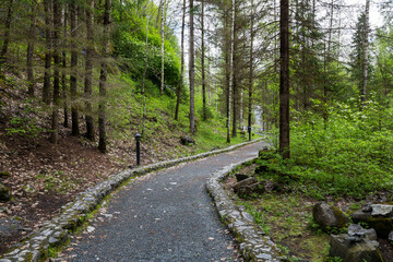View of the forest in the mountain park of Ruskeala