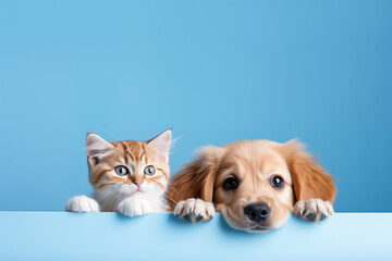Cute dog and cat, peeking over the clear solid top line on blue background, petshop banner, happy, smile, funny. Generative AI