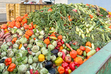 Heap of Mix expired Vegetables and fruits at harvest time. Organic bio waste in a huge container,...