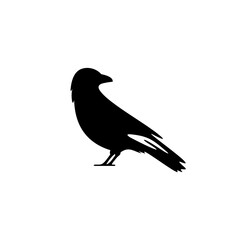 Black сrow graphic design. Raven bird silhouette