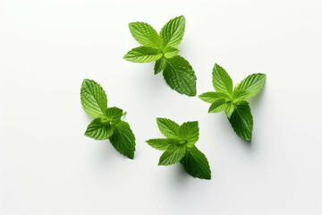 four mint leaves on white surface