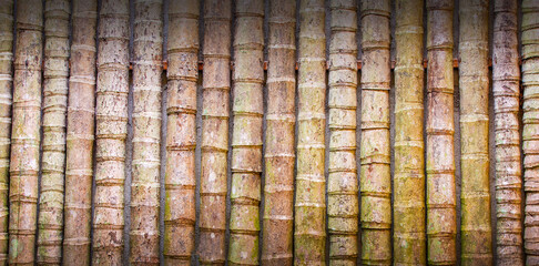 Bamboo wall decoration. Background or texture Selective focus