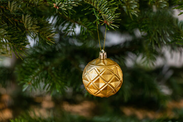christmas ball on a tree