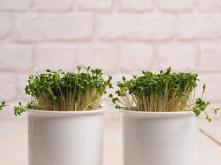 Organic cress in a white pot on a wooen kitchen table