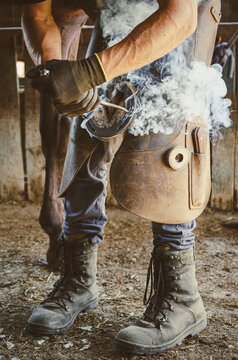 The farrier presses the hot horseshoe against the horse's hoof to take its shape for a precise fit. Smoke is produced during the burning of the hoof.
