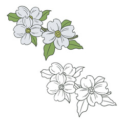Dogwood Flowers. Simple Design Outline Style. You can give color you like. Vector Illustrations