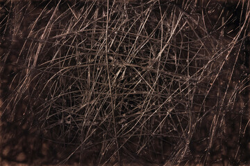 Tangled wire close-up. Abstract background. Macro picture of a wire