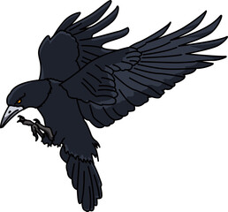 鴉（crow）(PNG)