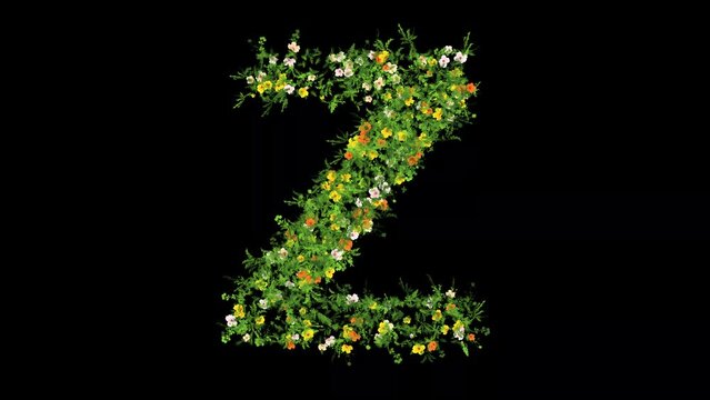English alphabet Z with grass and colorful flowers on plain black background