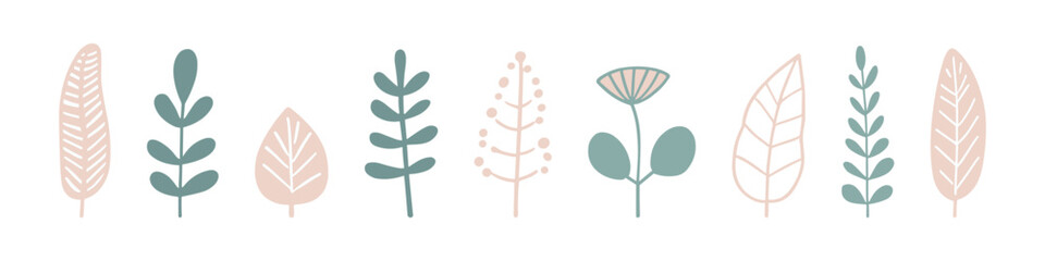 vector set of colorful minimalistic botanical illustrations including different leaves and flowers.