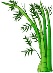 Fototapeta na wymiar illustration of bamboo branch
