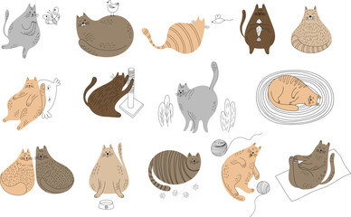 Set of cute cartoon cats different poses. Hand drawn illustration in doodle style isolate on white collection.